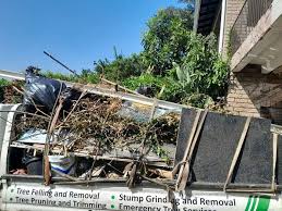 Best Recycling Services for Junk  in Rutherford College, NC